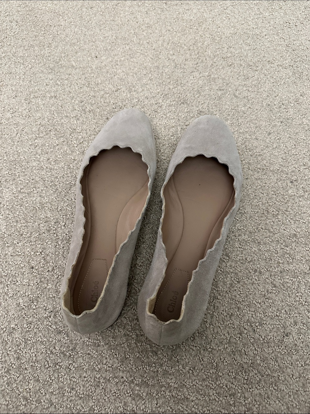 Chloe Scalloped Suede Ballet Flats in Light Taupe